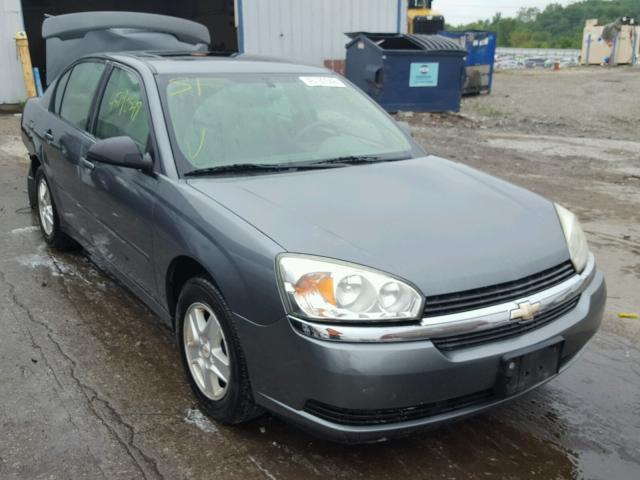 1G1ZT548X5F329278 - 2005 CHEVROLET MALIBU LS GRAY photo 1