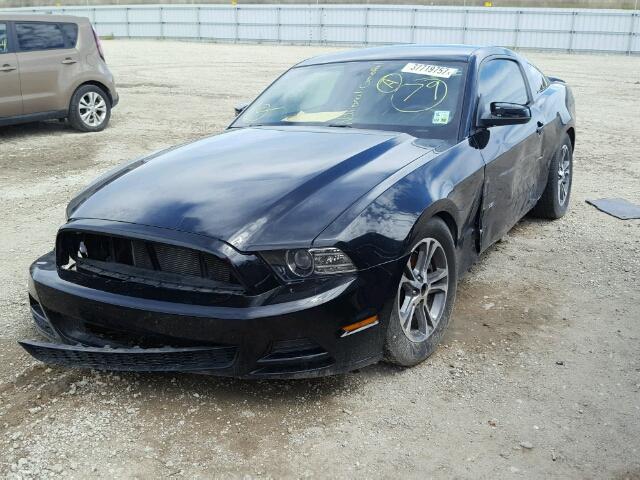 1ZVBP8AM9E5297409 - 2014 FORD MUSTANG BLACK photo 2