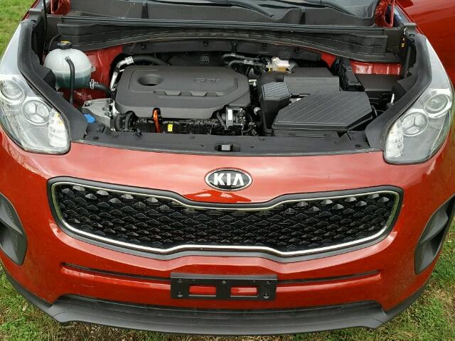 KNDPM3AC1H7271665 - 2017 KIA SPORTAGE RED photo 7