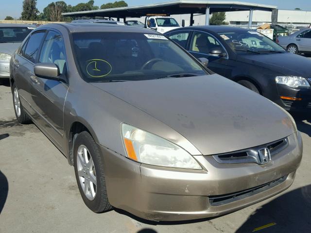 1HGCM66504A054813 - 2004 HONDA ACCORD GOLD photo 1