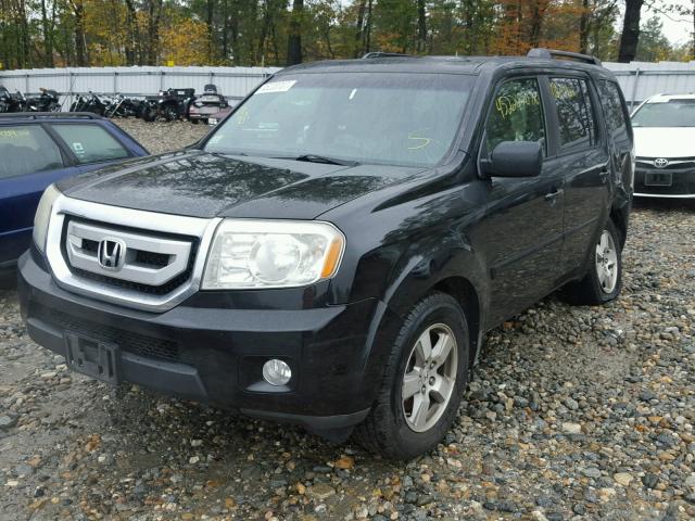 5FNYF48529B017146 - 2009 HONDA PILOT EXL BLACK photo 2