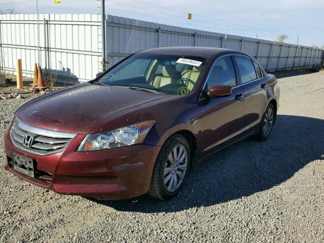 1HGCP2F8XBA007778 - 2011 HONDA ACCORD EXL MAROON photo 2