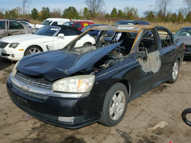 1G1ZU54805F232166 - 2005 CHEVROLET MALIBU BLACK photo 2