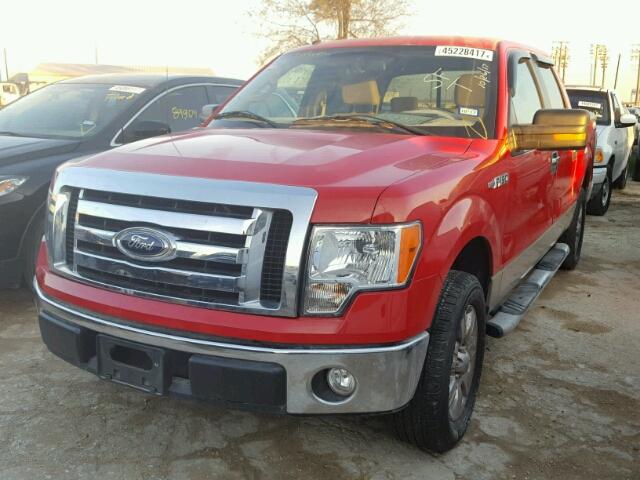 1FTRW12809FB21295 - 2009 FORD F150 RED photo 2