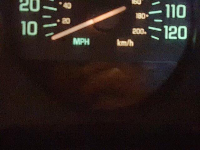 2G4WB52K5X1477243 - 1999 BUICK REGAL LS 棕色 照片 8