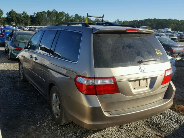 5FNRL38705B134436 - 2005 HONDA ODYSSEY EX GOLD photo 3