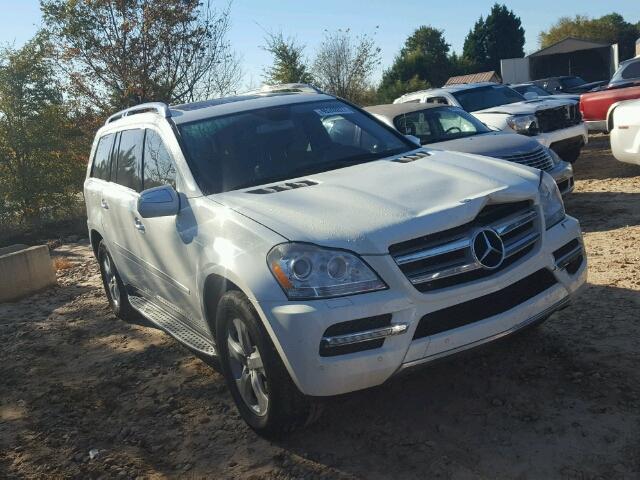 4JGBF7BE9AA589954 - 2010 MERCEDES-BENZ GL 450 4MA WHITE photo 1