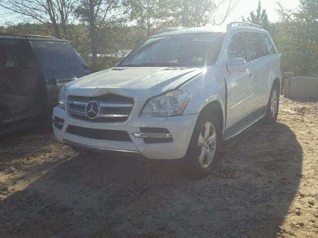 4JGBF7BE9AA589954 - 2010 MERCEDES-BENZ GL 450 4MA WHITE photo 2