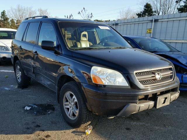 5FNYF18575B007110 - 2005 HONDA PILOT EXL BLACK photo 1