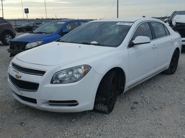 1G1ZC5E03AF227551 - 2010 CHEVROLET MALIBU 1LT 白色 照片 2