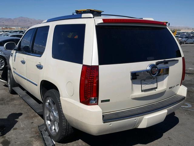 1GYUKCEF7AR149166 - 2010 CADILLAC ESCALADE P BEIGE photo 3