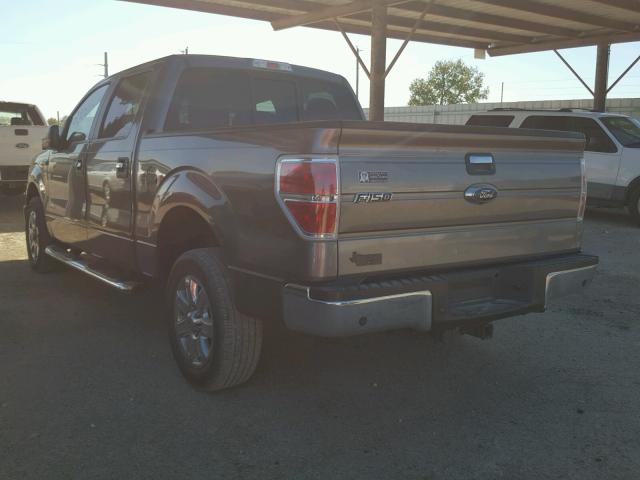 1FTFW1CT2EKE63922 - 2014 FORD F150 SUPER GRAY photo 3