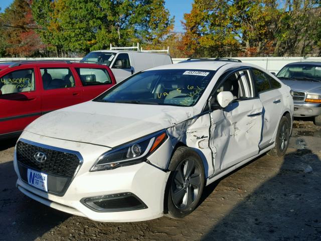 KMHE34L10GA025442 - 2016 HYUNDAI SONATA HYB WHITE photo 2