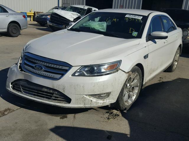 1FAHP2EW6BG183153 - 2011 FORD TAURUS SEL WHITE photo 2