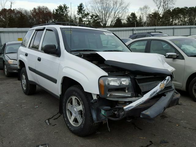 1GNDT13S452205898 - 2005 CHEVROLET TRAILBLAZE WHITE photo 1