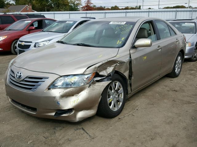 4T1BB46K99U109562 - 2009 TOYOTA CAMRY HYBR GOLD photo 2