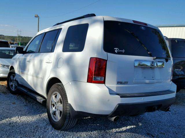 5FNYF3H56BB019255 - 2011 HONDA PILOT EXL WHITE photo 3