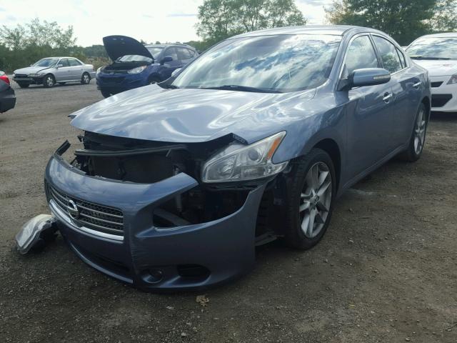 1N4AA5AP0AC868743 - 2010 NISSAN MAXIMA S BLUE photo 2