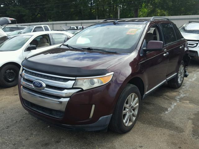 2FMDK3JC4BBA68126 - 2011 FORD EDGE SEL BURGUNDY photo 2