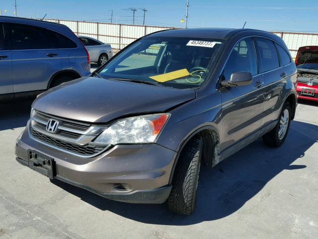 5J6RE4H72AL100449 - 2010 HONDA CR-V EXL TAN photo 2