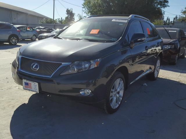 JTJBC1BA9A2412836 - 2010 LEXUS RX CHARCOAL photo 2