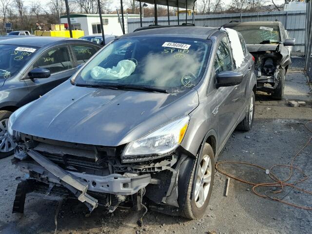 1FMCU0GX9EUD57144 - 2014 FORD ESCAPE SE GRAY photo 2