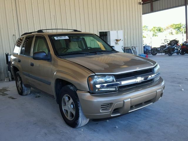 1GNDT13S052209138 - 2005 CHEVROLET TRAILBLAZE TAN photo 1