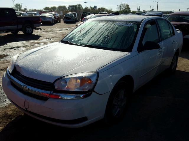 1G1ZT54855F254196 - 2005 CHEVROLET MALIBU WHITE photo 2