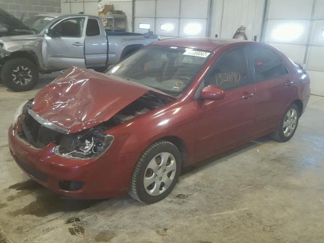 KNAFE121585542116 - 2008 KIA SPECTRA EX RED photo 2