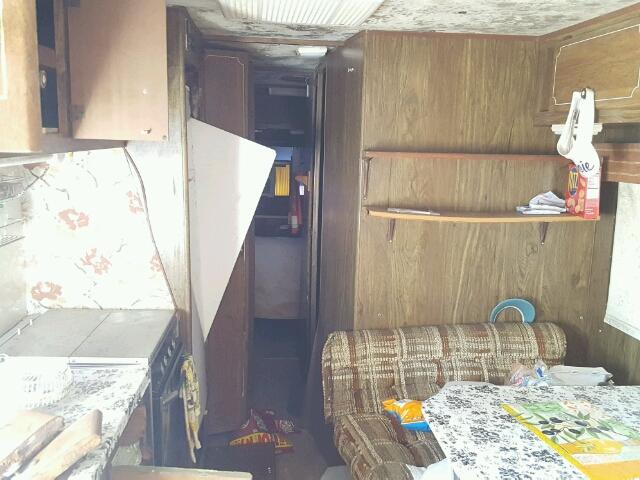 1KB131K44CW000642 - 1982 HOLI RAMBLER GRAY photo 8