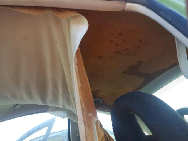 3VWBK21C52M420731 - 2002 VOLKSWAGEN NEW BEETLE 绿色 照片 9