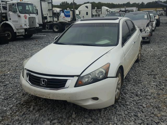 1HGCP368X8A003650 - 2008 HONDA ACCORD EXL Ağ foto 2