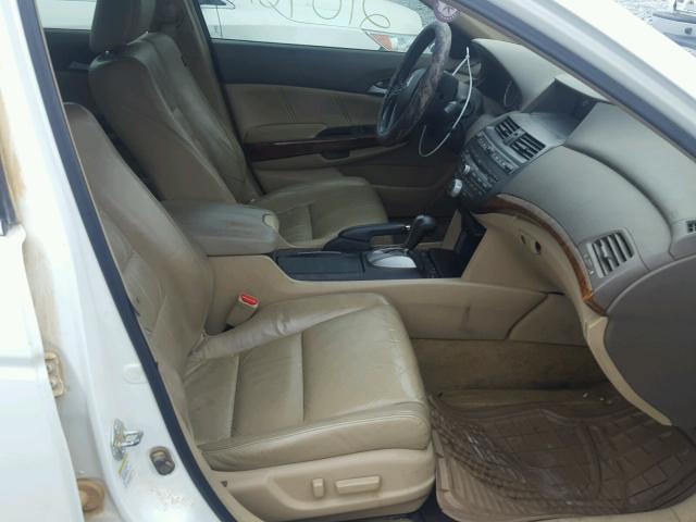 1HGCP368X8A003650 - 2008 HONDA ACCORD EXL Ağ foto 5