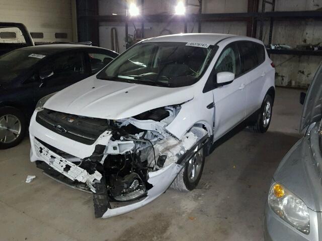 1FMCU0GX0EUD43388 - 2014 FORD ESCAPE SE WHITE photo 2