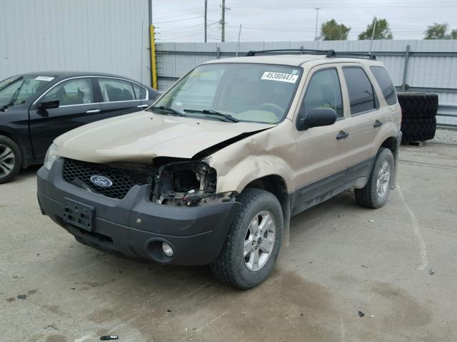 1FMYU03Z87KA12912 - 2007 FORD ESCAPE XLT GOLD photo 2