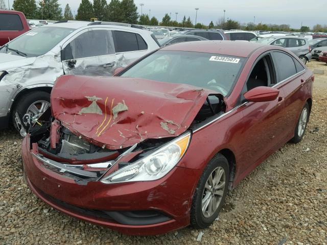 5NPEB4AC0EH909902 - 2014 HYUNDAI SONATA GLS RED photo 2