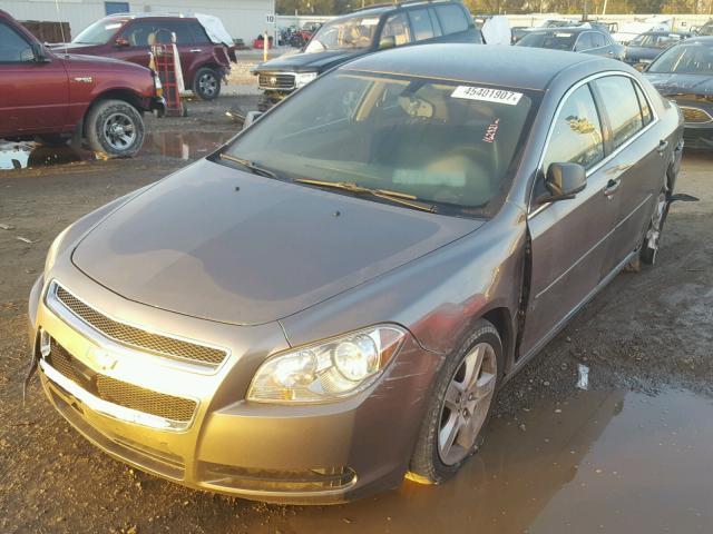 1G1ZB5EB3AF307503 - 2010 CHEVROLET MALIBU LS GRAY photo 2