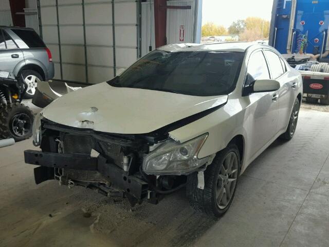 1N4AA5AP5DC833300 - 2013 NISSAN MAXIMA S WHITE photo 2