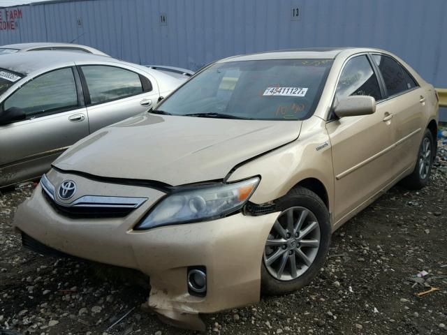 4T1BB3EK5BU130300 - 2011 TOYOTA CAMRY HYBR GOLD photo 2