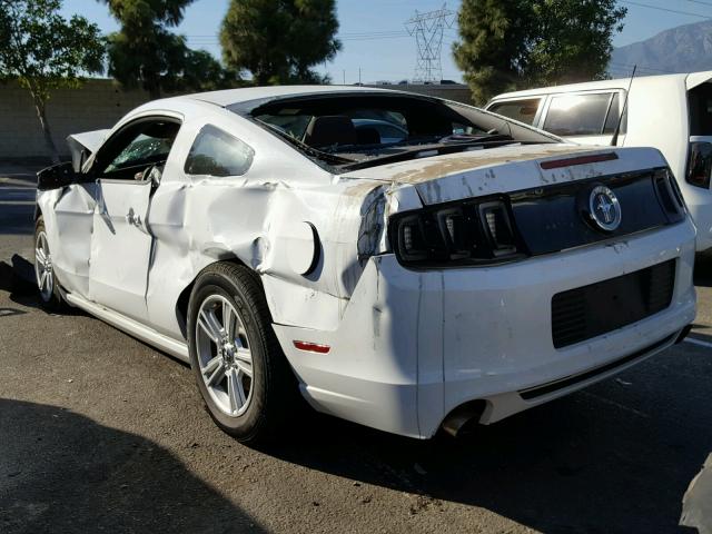 1ZVBP8AM4E5300202 - 2014 FORD MUSTANG WHITE photo 3
