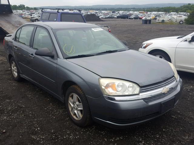 1G1ZT52815F107327 - 2005 CHEVROLET MALIBU LS Boz foto 1