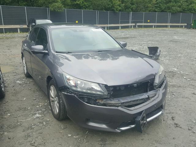 1HGCR3F89EA020462 - 2014 HONDA ACCORD EXL GRAY photo 1