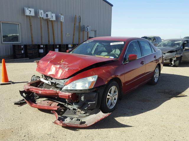 1HGCM56337A127461 - 2007 HONDA ACCORD RED photo 2