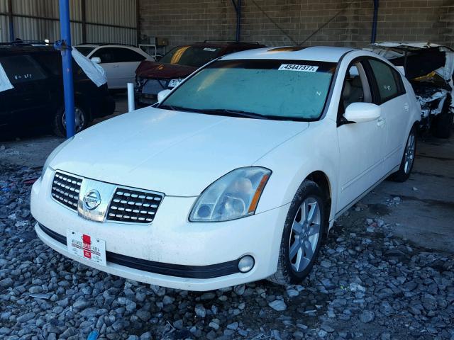 1N4BA41E96C818279 - 2006 NISSAN MAXIMA SE WHITE photo 2