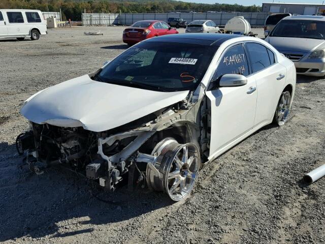 1N4AA5AP5AC826357 - 2010 NISSAN MAXIMA S WHITE photo 2