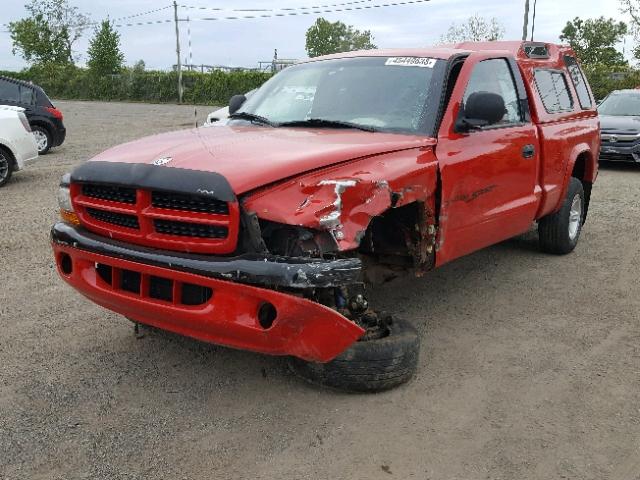 1B7GG22Y4XS133514 - 1999 DODGE DAKOTA RED photo 2