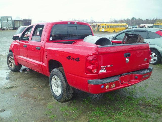 1D7HW48N75S161956 - 2005 DODGE DAKOTA QUA RED photo 3