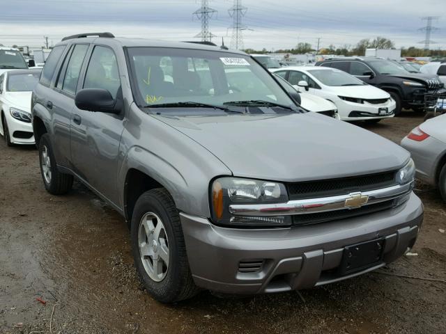 1GNDT13S252300413 - 2005 CHEVROLET TRAILBLAZE GRAY photo 1