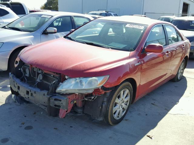 4T1BB46K69U070137 - 2009 TOYOTA CAMRY HYBR RED photo 2