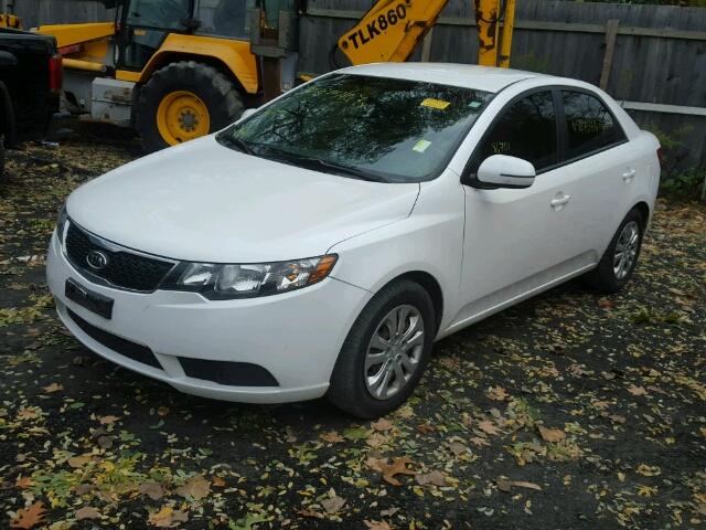 KNAFU4A25C5551776 - 2012 KIA FORTE EX WHITE photo 2